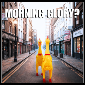 MORNING GLORY - 4 WINNERS
